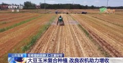 农田进了“托管班”、一